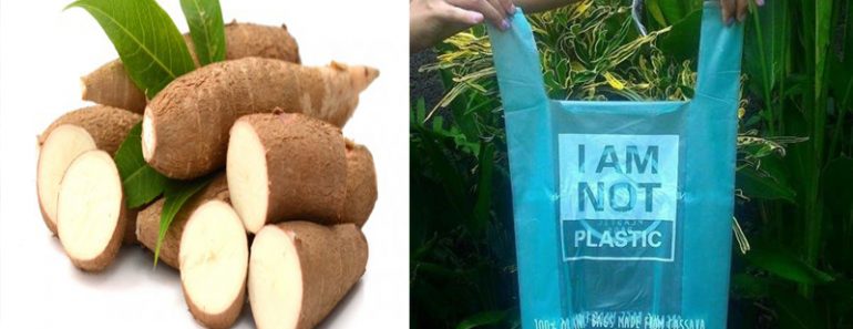 Bolsas de yuca que se disuelven en agua y sirven de alimento para los peces