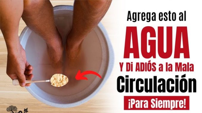 Hígado Graso Síntomas Tipos Causas Y Tratamiento Natural Hogarideal